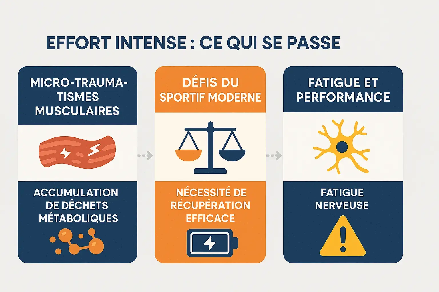 Schéma des impacts de l'effort intense sur le corps