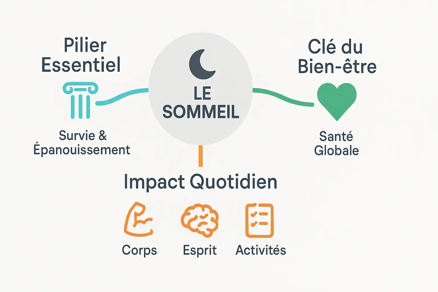 Infographie sur <strong>l'importance du sommeil</strong>